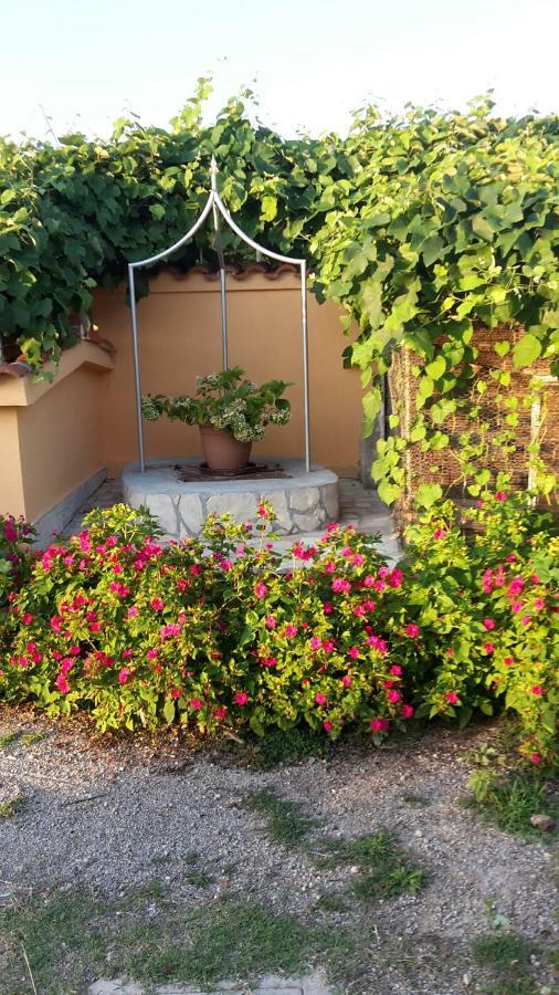 Apartman Jadranka Palit Extérieur photo
